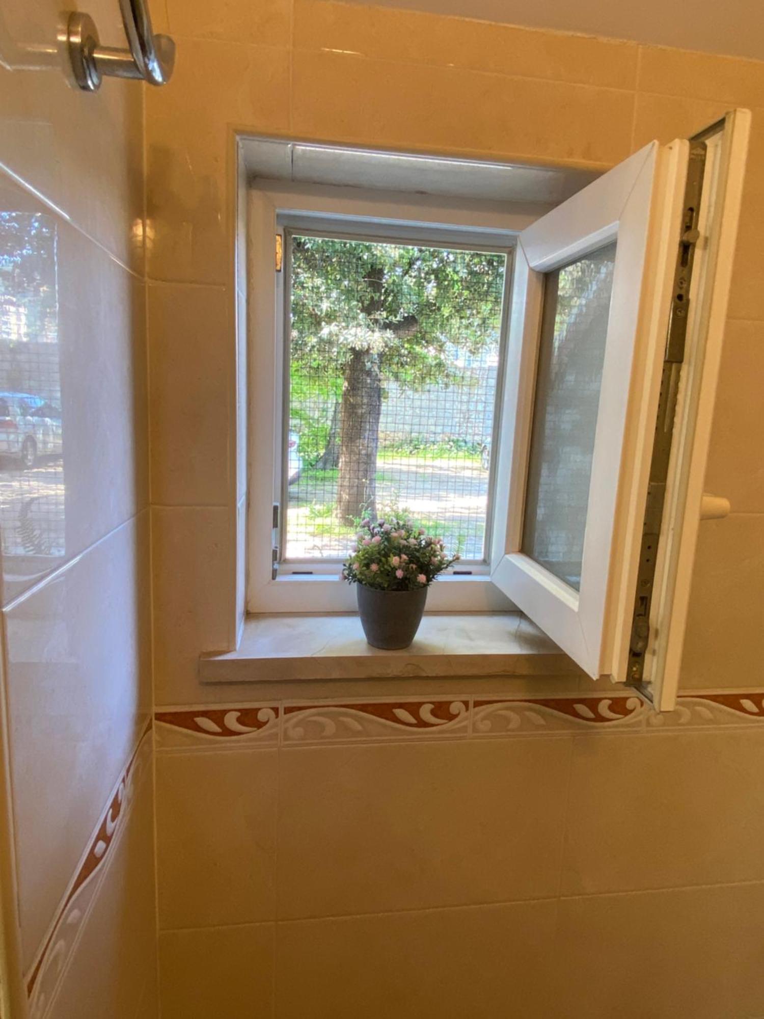 Apartment Mario Dubrovnik Eksteriør billede