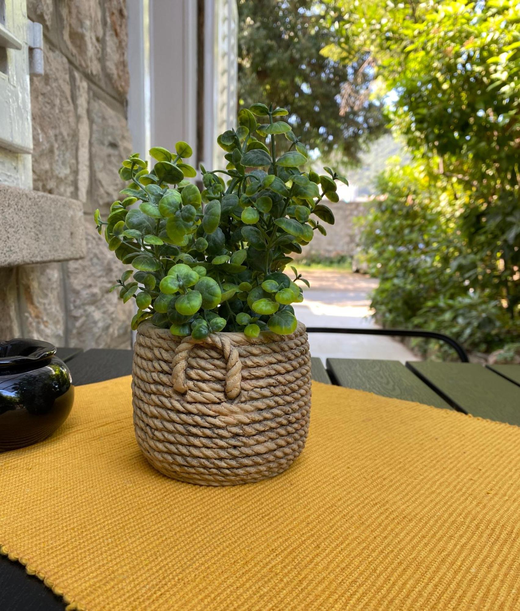 Apartment Mario Dubrovnik Eksteriør billede